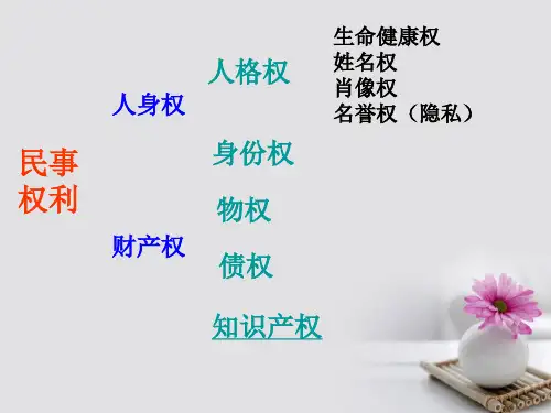 高中政治 专题2.4 切实保护知识产权课件 新人教版选修5