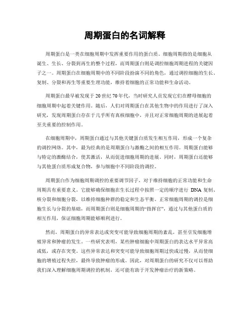 周期蛋白的名词解释