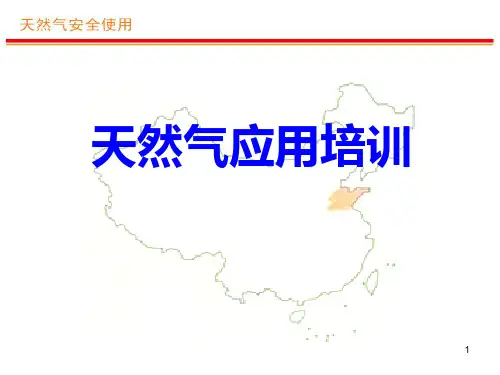 LNG气化站客户方培训PPT课件