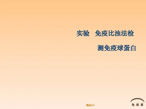 免疫比浊法PPT课件