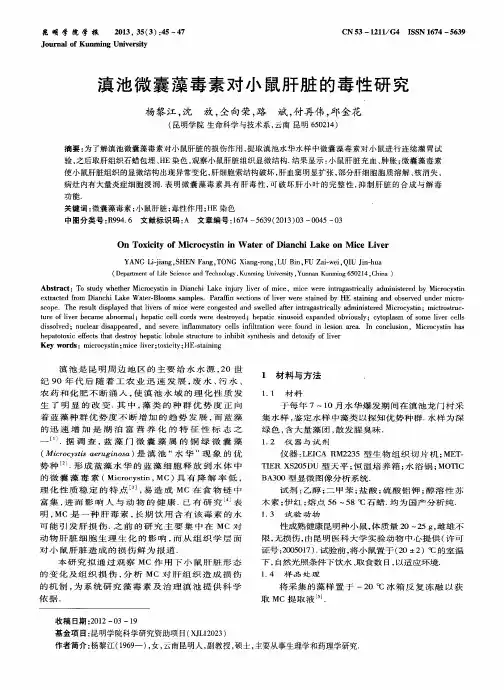 滇池微囊藻毒素对小鼠肝脏的毒性研究