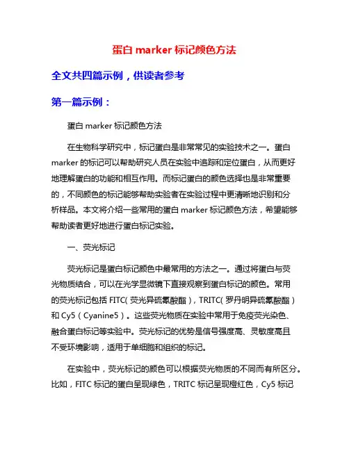 蛋白marker标记颜色方法