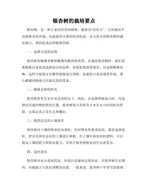 银杏树的栽培要点