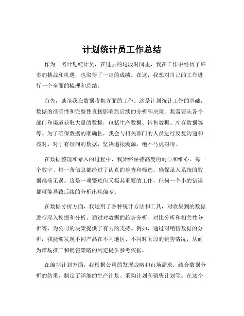 计划统计员工作总结