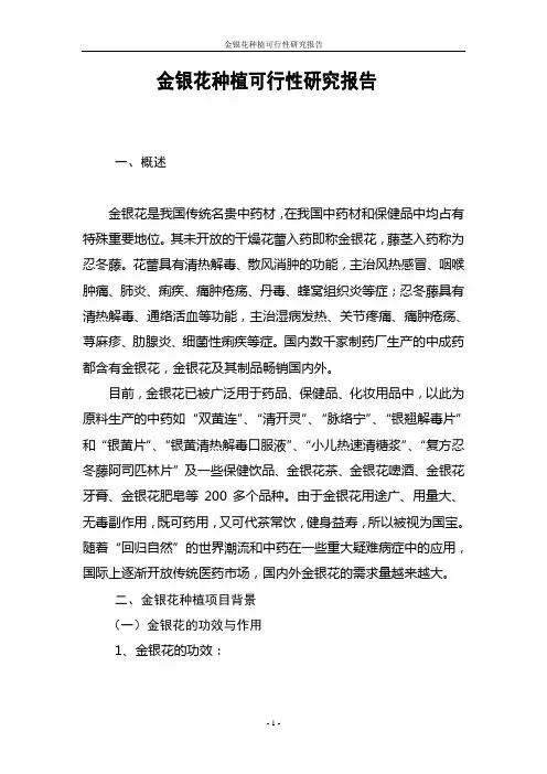 金银花种植可行性研究报告