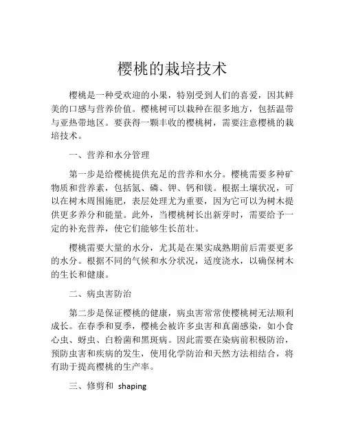 樱桃的栽培技术