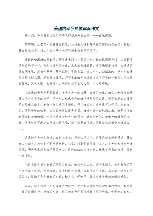 美丽的家乡盐城滨海作文