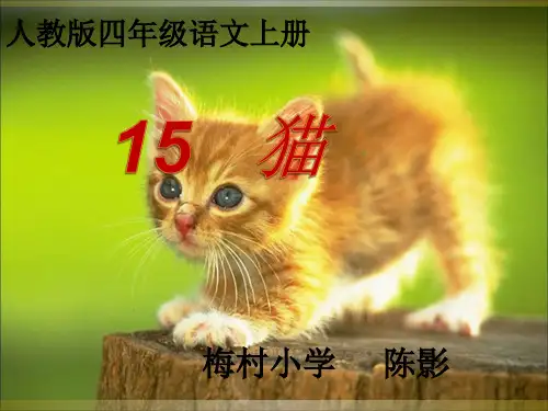 四年级语文上册15猫PPT课件