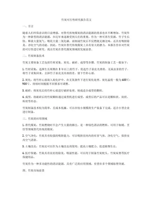 竹炭可行性研究报告范文