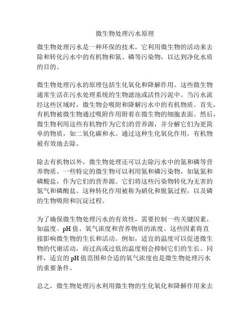 微生物处理污水原理