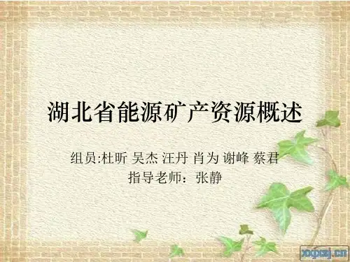 湖北能源矿产资源概述