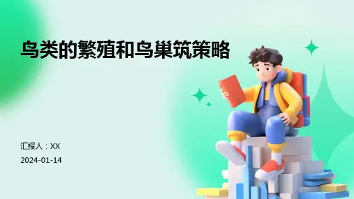 鸟类的繁殖和鸟巢筑策略