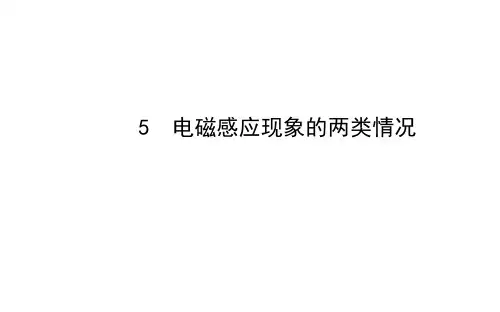电磁感应现象的两类情况 课件