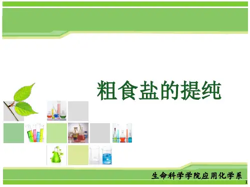 粗食盐的提纯实验化学