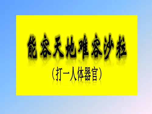 《眼睛与仿生学》课件