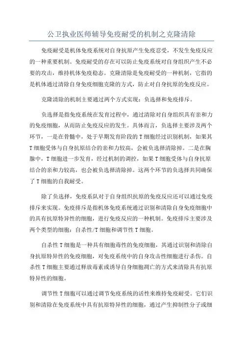 公卫执业医师辅导免疫耐受的机制之克隆清除