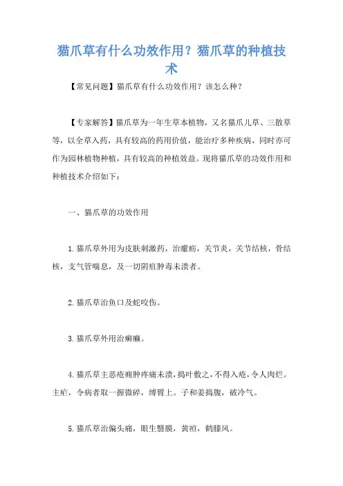 猫爪草有什么功效作用？猫爪草的种植技术
