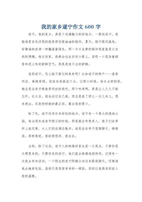 我的家乡遂宁作文600字