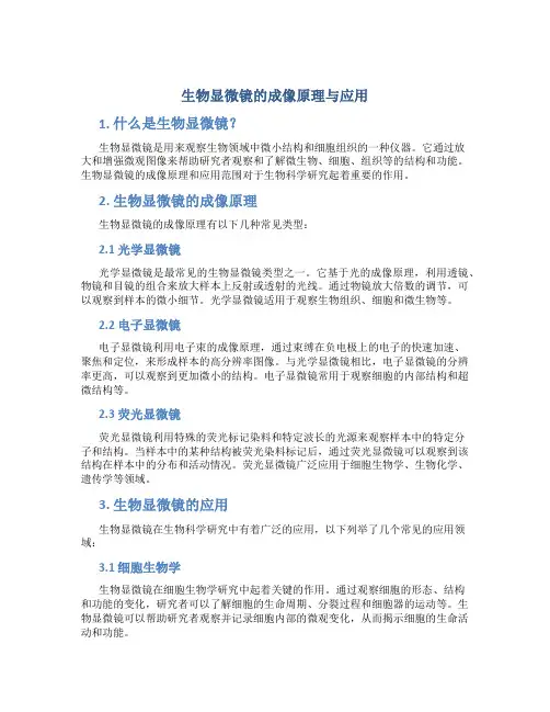 生物显微镜的成像原理与应用