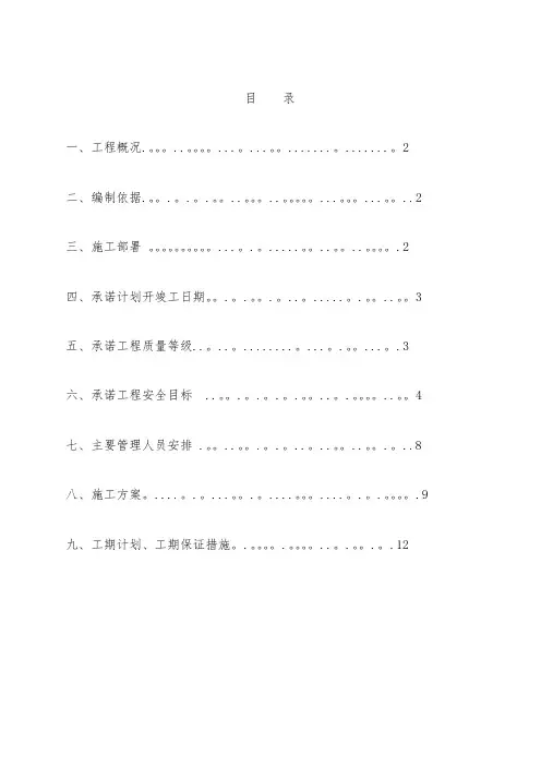 沥青路技术标书.