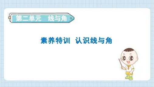 2024年北师大版四年级上册数学期末素养特训 认识线与角