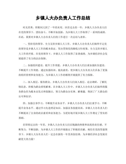 乡镇人大办负责人工作总结