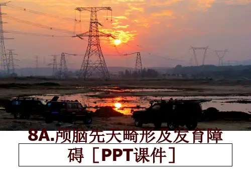 最新8A.颅脑先天畸形及发育障碍[PPT课件]幻灯片课件