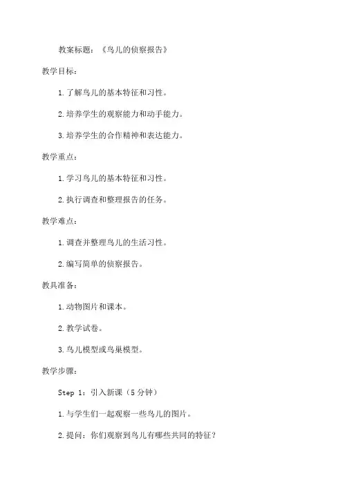 三年级下语文教案16鸟儿的侦察报告