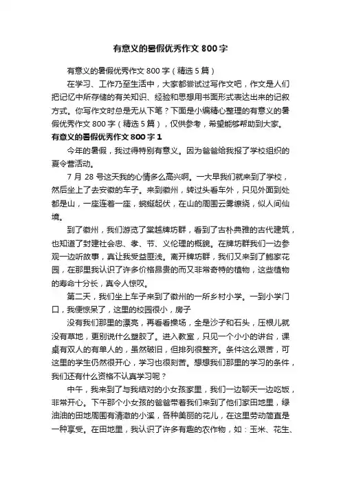 有意义的暑假优秀作文800字（精选5篇）