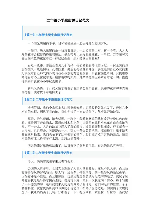 二年级小学生出游日记范文八篇