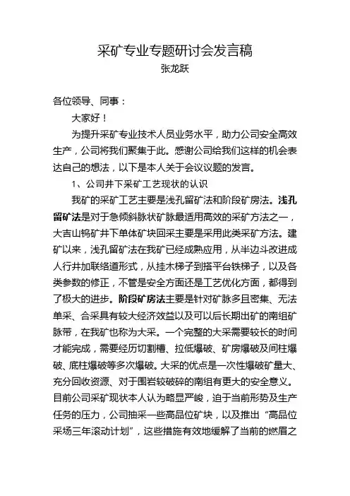 采矿专业研讨会发言