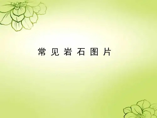 常见岩石图片
