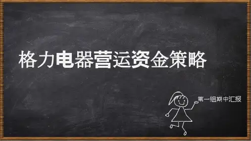 财务案例分析.pptx