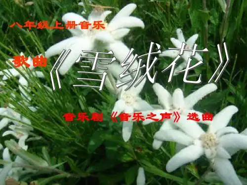 人音版七年级音乐上册《雪绒花》课件