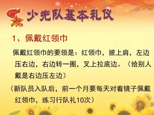 少先队知识学习