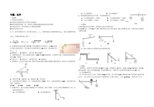 专题：杠杆和滑轮
