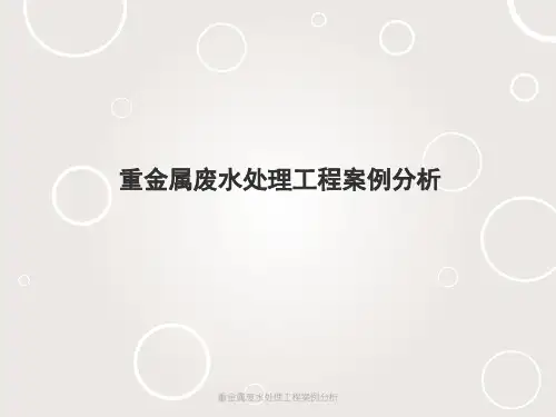 重金属废水处理工程案例分析
