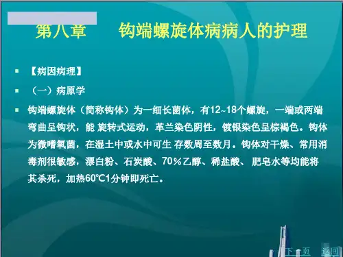 钩端螺旋体病病人的护理