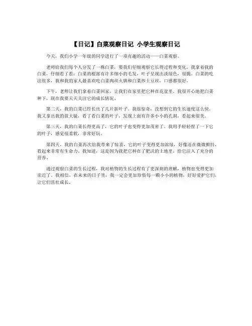【日记】白菜观察日记 小学生观察日记