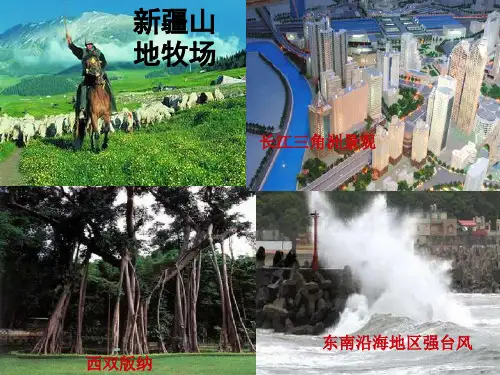 四大地理区域的划分1