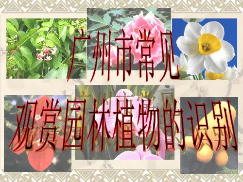 常见园林植物识别