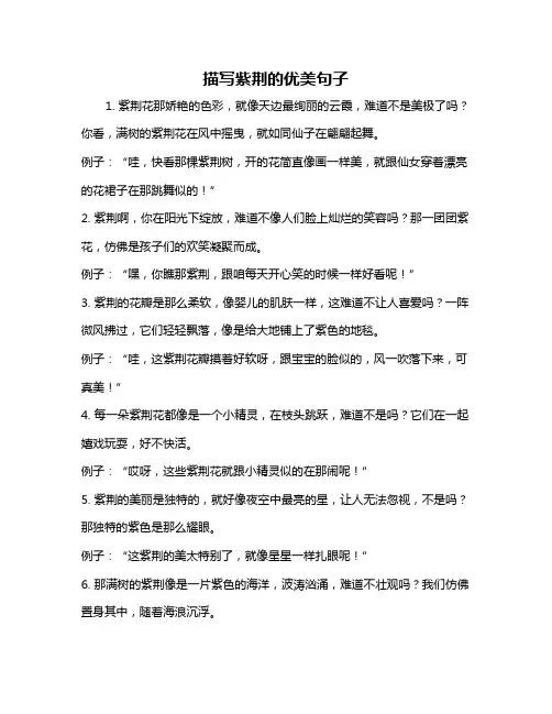 描写紫荆的优美句子