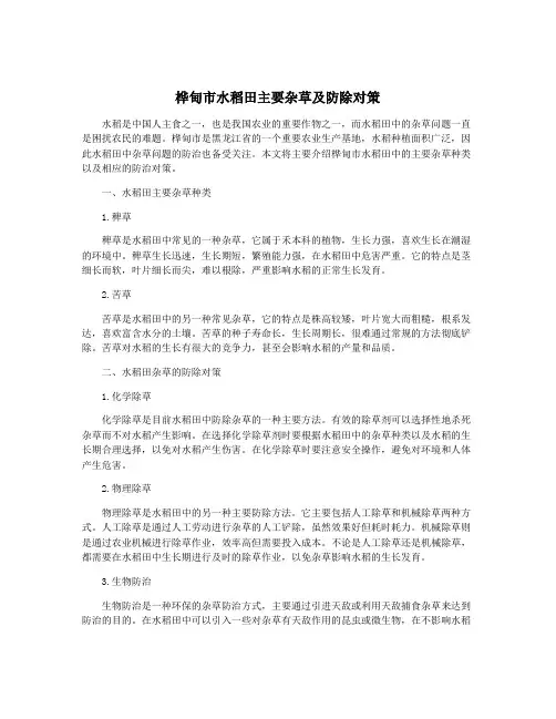 桦甸市水稻田主要杂草及防除对策