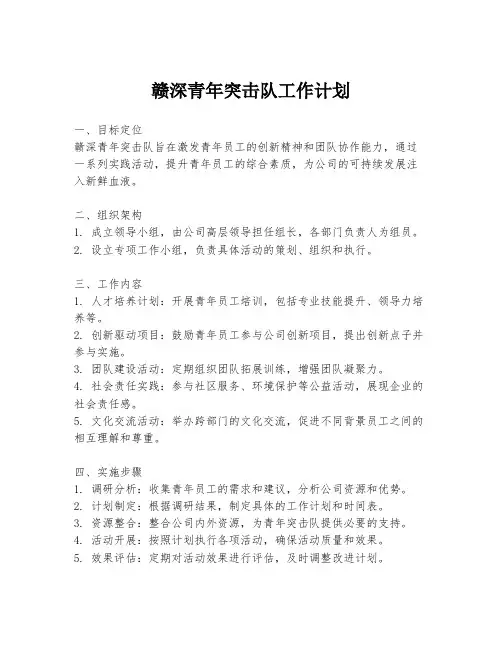赣深青年突击队工作计划
