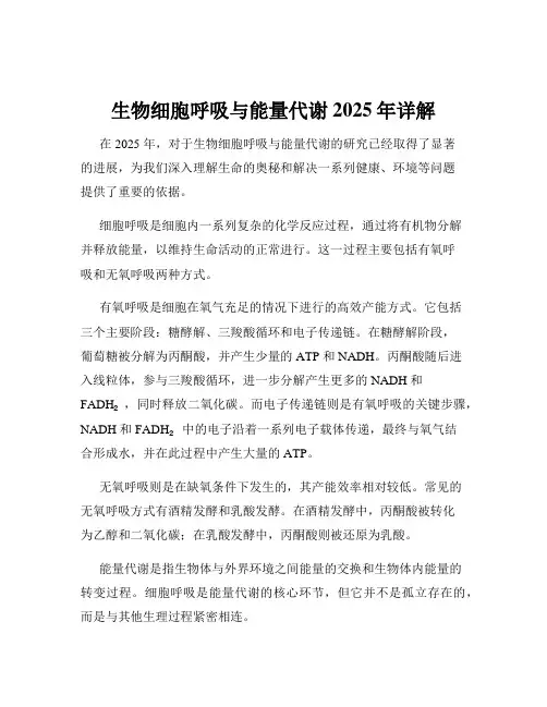 生物细胞呼吸与能量代谢2025年详解