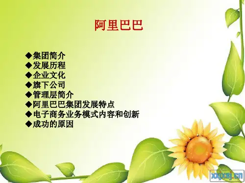 阿里巴巴简介