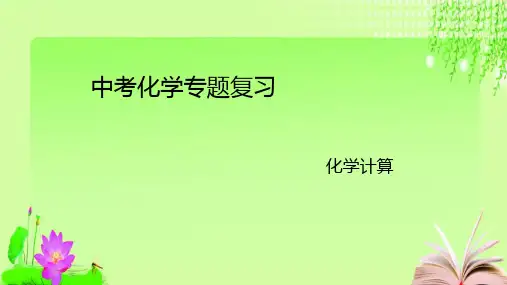 最新2020山东中考化学复习专项化学计算(25张PPT)教育课件