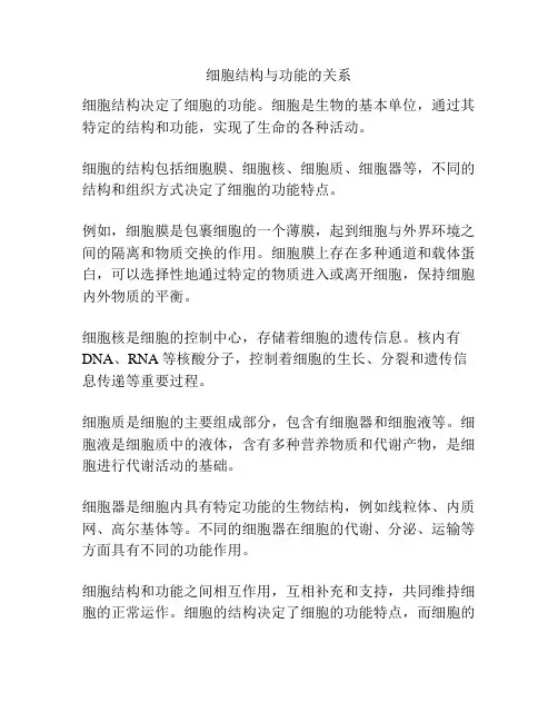 细胞结构与功能的关系