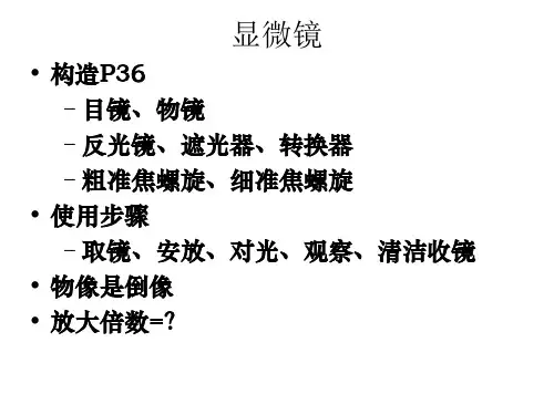 生物和细胞