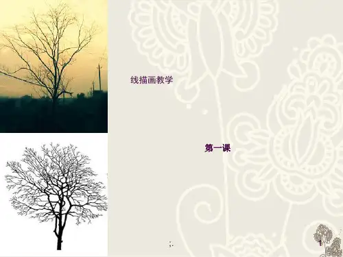 线描画教学ppt课件